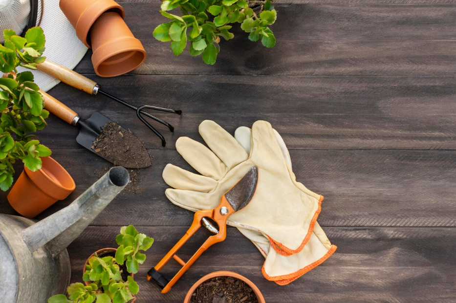 6d03f0cf34872193304f88a1a4e1564a6b301c6a